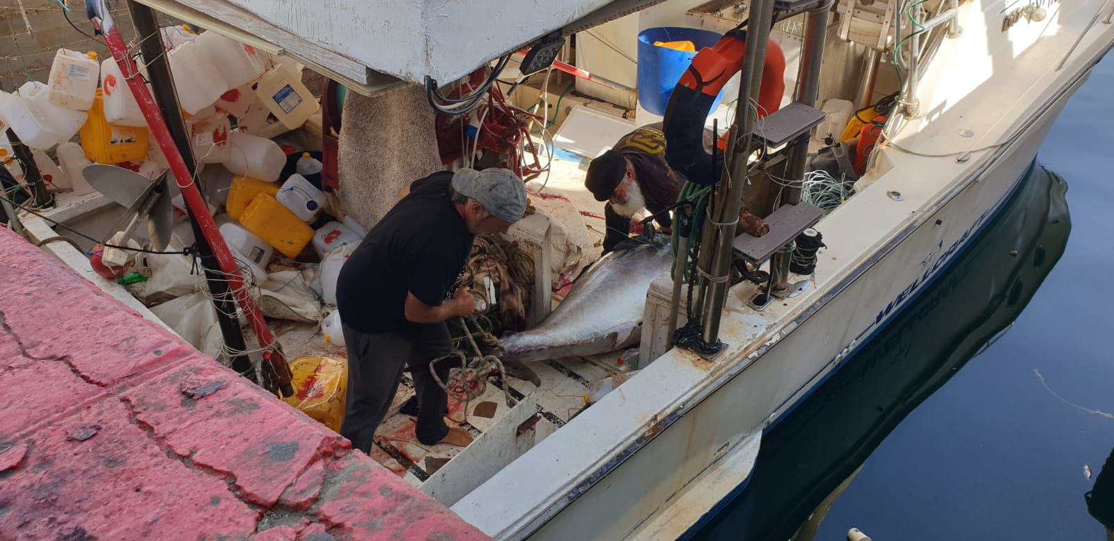 WhatsApp Image 2020-05-13 at 9.01.56 AM (2).jpeg.jpeg